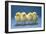 Chickens X4 Chicks-null-Framed Photographic Print