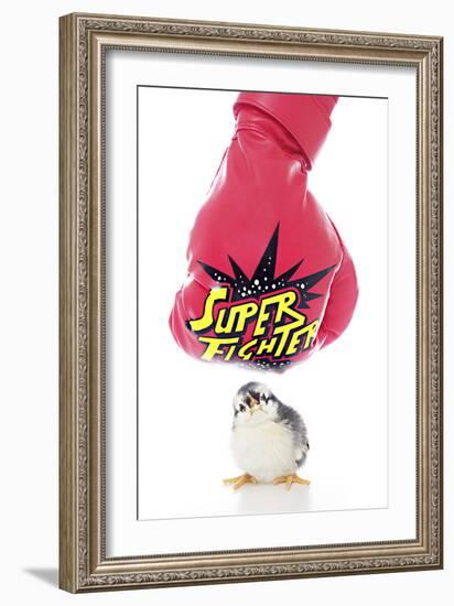 Chicks 002-Andrea Mascitti-Framed Photographic Print