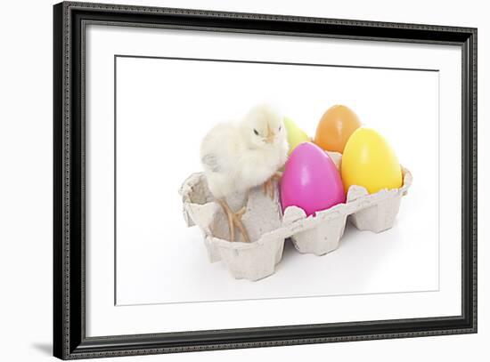 Chicks 008-Andrea Mascitti-Framed Photographic Print