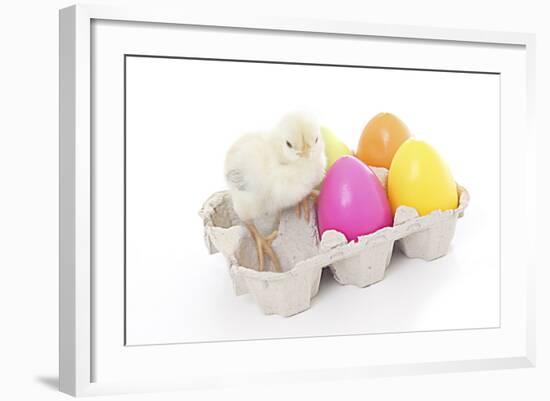 Chicks 008-Andrea Mascitti-Framed Photographic Print