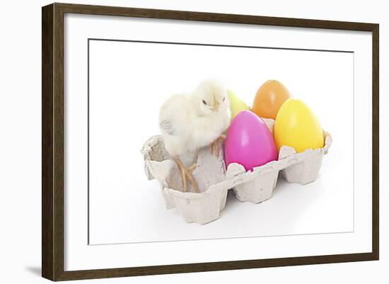 Chicks 008-Andrea Mascitti-Framed Photographic Print