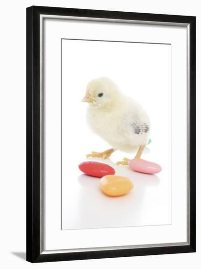 Chicks 009-Andrea Mascitti-Framed Photographic Print