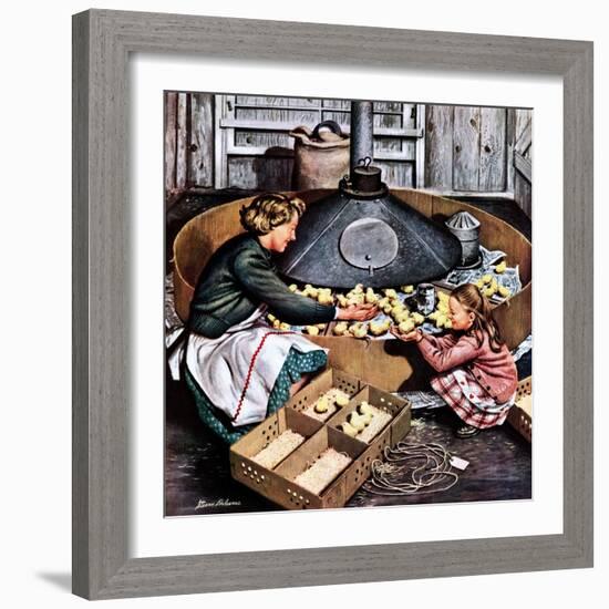 "Chicks in Incubator," March 5, 1949-Stevan Dohanos-Framed Giclee Print