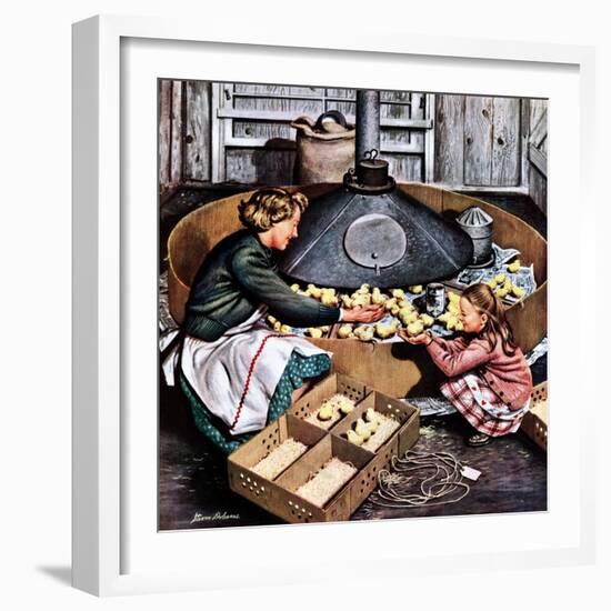 "Chicks in Incubator," March 5, 1949-Stevan Dohanos-Framed Giclee Print