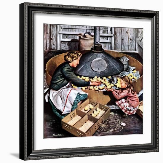 "Chicks in Incubator," March 5, 1949-Stevan Dohanos-Framed Giclee Print