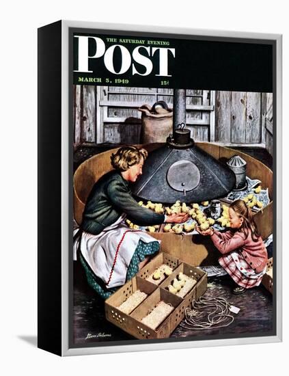 "Chicks in Incubator," Saturday Evening Post Cover, March 5, 1949-Stevan Dohanos-Framed Premier Image Canvas