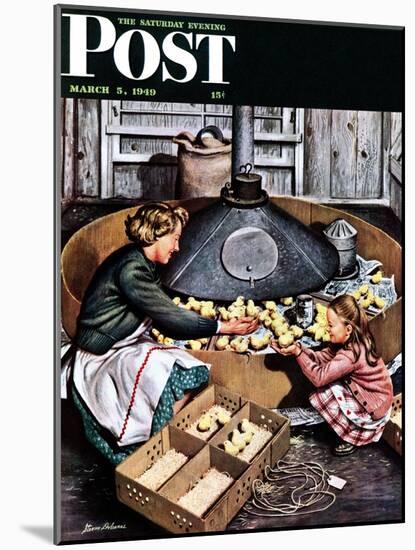 "Chicks in Incubator," Saturday Evening Post Cover, March 5, 1949-Stevan Dohanos-Mounted Giclee Print