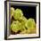 Chickweed Pollen-Micro Discovery-Framed Photographic Print