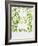 Chickweed, Stellaria Media, Starweed, Leaves, Green-Axel Killian-Framed Photographic Print