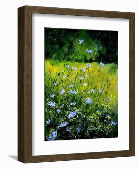 Chicorees flowers-Pol Ledent-Framed Art Print