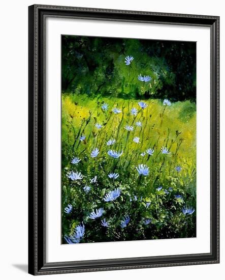 Chicorees flowers-Pol Ledent-Framed Art Print