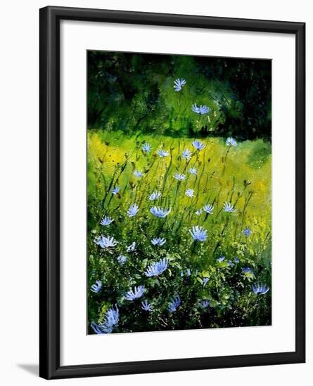 Chicorees flowers-Pol Ledent-Framed Art Print