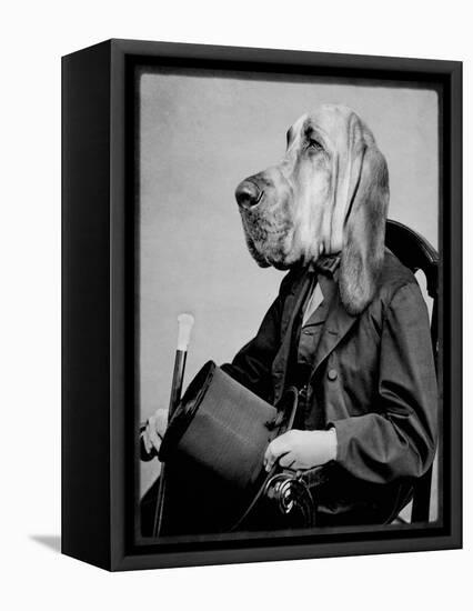 Chief Inspector Houndsbury-Grand Ole Bestiary-Framed Stretched Canvas