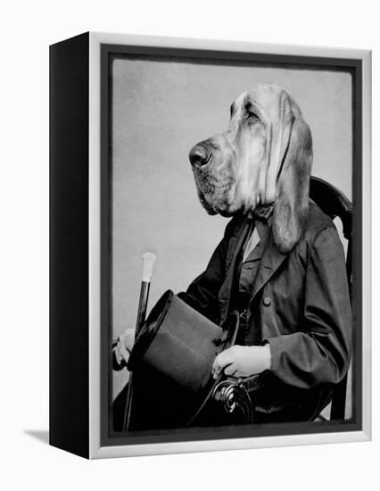 Chief Inspector Houndsbury-Grand Ole Bestiary-Framed Stretched Canvas