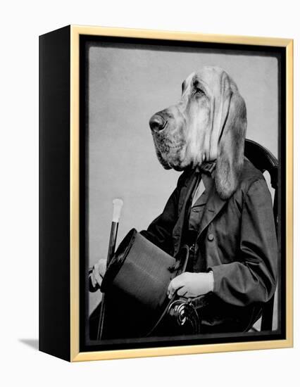 Chief Inspector Houndsbury-Grand Ole Bestiary-Framed Stretched Canvas