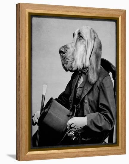 Chief Inspector Houndsbury-Grand Ole Bestiary-Framed Stretched Canvas