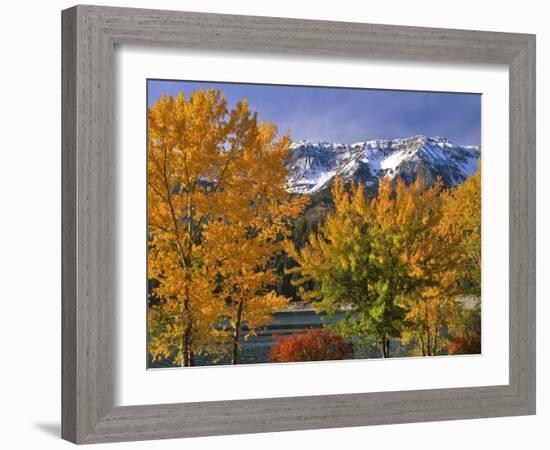 Chief Joseph Mountain-Steve Terrill-Framed Photographic Print