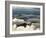 Chief Joseph Scenic Byway, Wyoming, United States of America, North America-Pitamitz Sergio-Framed Photographic Print