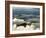 Chief Joseph Scenic Byway, Wyoming, United States of America, North America-Pitamitz Sergio-Framed Photographic Print