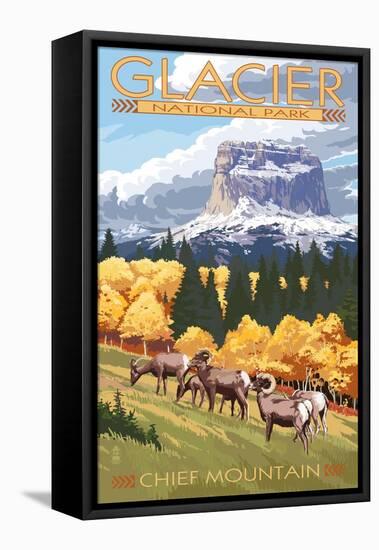 Chief Mountain and Big Horn Sheep - Glacier National Park, Montana-Lantern Press-Framed Stretched Canvas