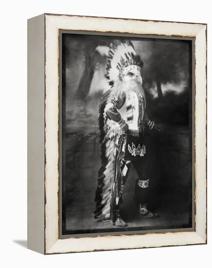 Chief Shikoba Featherbeard-Grand Ole Bestiary-Framed Stretched Canvas