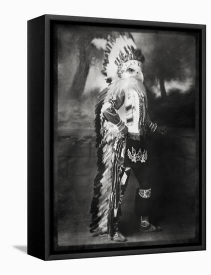 Chief Shikoba Featherbeard-Grand Ole Bestiary-Framed Stretched Canvas