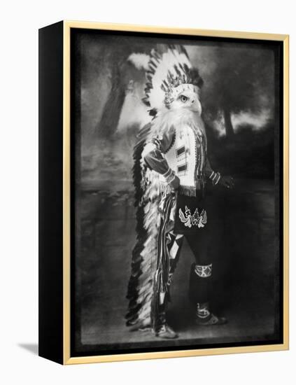 Chief Shikoba Featherbeard-Grand Ole Bestiary-Framed Stretched Canvas