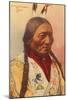 Chief Sitting Bull, Sioux Indian-null-Mounted Art Print