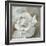 Chiffon in Cream-Farrell Douglass-Framed Giclee Print