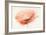 Chiffon Poppy-J^P^ Prior-Framed Giclee Print