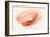 Chiffon Poppy-J^P^ Prior-Framed Giclee Print