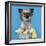 Chihuahua, 16 Months Old, Sitting In Front Of Blue Background With Easter Basket-Life on White-Framed Photographic Print