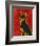 Chihuahua (black and tan)-John Golden-Framed Art Print