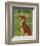 Chihuahua (chocolate and tan)-John W^ Golden-Framed Art Print