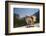Chihuahua Dog in Yosemite National Park-Richard T Nowitz-Framed Photographic Print