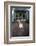 Chihuahua Dog-DLILLC-Framed Photographic Print