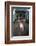 Chihuahua Dog-DLILLC-Framed Photographic Print