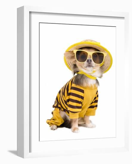 Chihuahua Dressed With T-Shirt, Straw Hat And Sun Glasses-vitalytitov-Framed Photographic Print