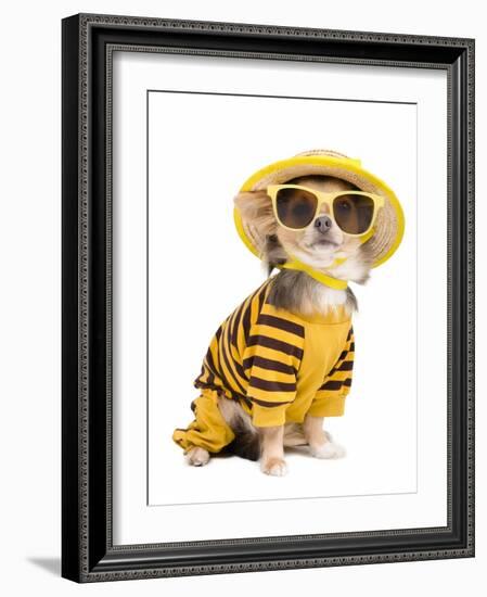 Chihuahua Dressed With T-Shirt, Straw Hat And Sun Glasses-vitalytitov-Framed Photographic Print