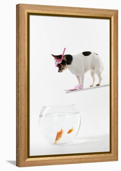 Chihuahua in Scuba Gear over Goldfish Bowl-null-Framed Premier Image Canvas