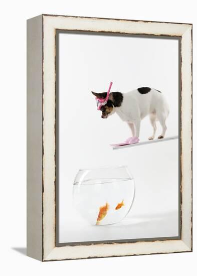 Chihuahua in Scuba Gear over Goldfish Bowl-null-Framed Premier Image Canvas