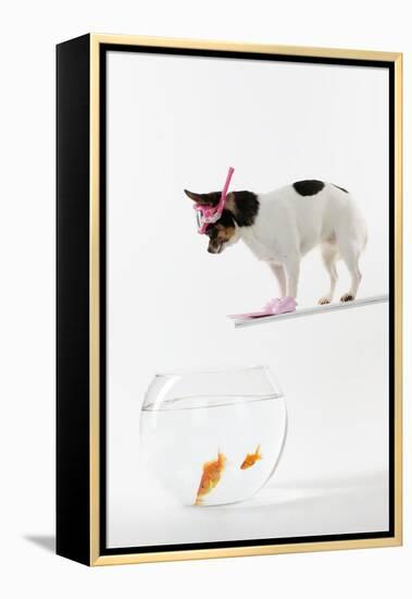 Chihuahua in Scuba Gear over Goldfish Bowl-null-Framed Premier Image Canvas