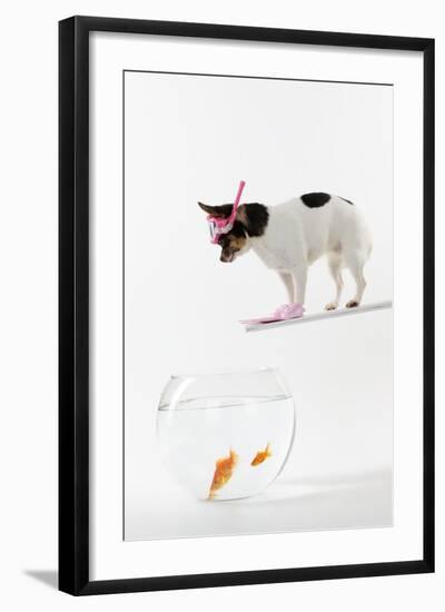 Photographic Print, , large