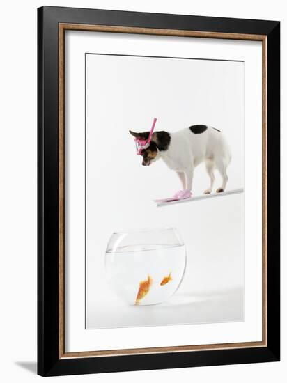 Chihuahua in Scuba Gear over Goldfish Bowl-null-Framed Photographic Print