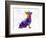 Chihuahua in Watercolor-paulrommer-Framed Art Print