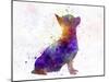 Chihuahua in Watercolor-paulrommer-Mounted Art Print