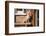 Chihuahua Looking-Zandria Muench Beraldo-Framed Photographic Print