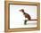 Chihuahua on a Skateboard-Chris Rogers-Framed Premier Image Canvas