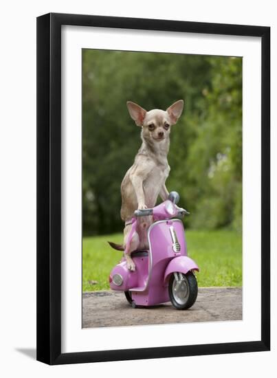Photographic Print, , large