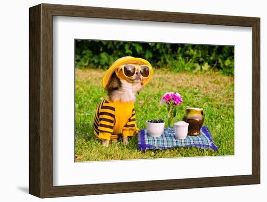 Chihuahua Picnic In Summer Garden-vitalytitov-Framed Photographic Print